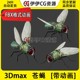 3D模型3DMax动物昆虫苍蝇家蝇青蝇害虫FBX动画文件flies蚊子四害