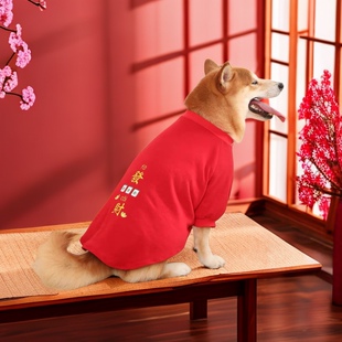 中大型犬新年衣服薄款过年狗狗喜庆春秋款两脚新年装金毛柴犬柯基