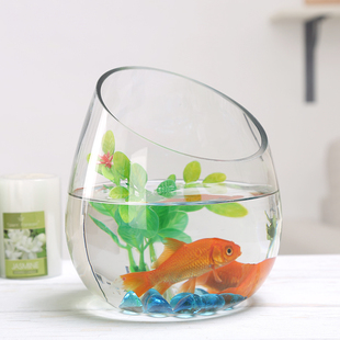 玻璃鱼缸加厚透明斜口缸办公室桌面小型迷你斗鱼缸客厅现代简约缸