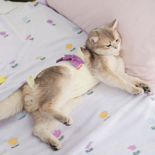 猫咪绝育服母猫夏天透气猫猫衣服防掉毛衣服小猫断奶服防舔术后服