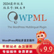 WPML Multilingual CMS WordPress多语言翻译插件原版永久更新