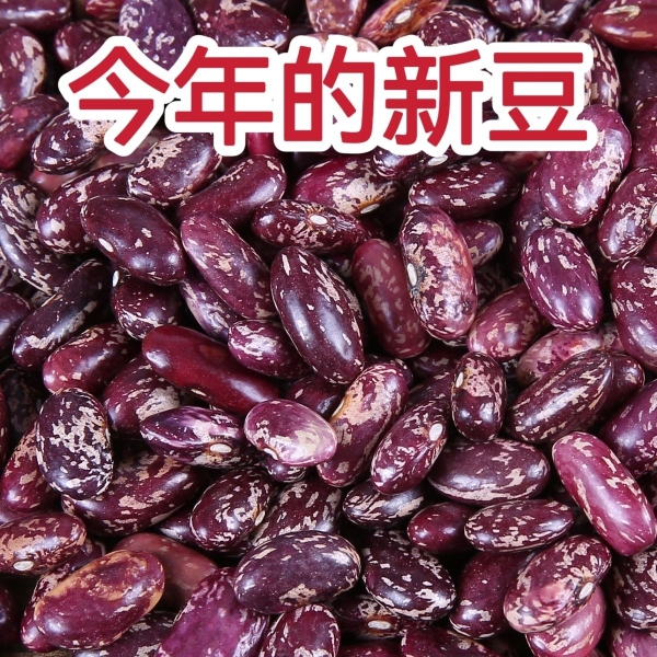 23年特价东北紫花芸豆包豆馅大碴子