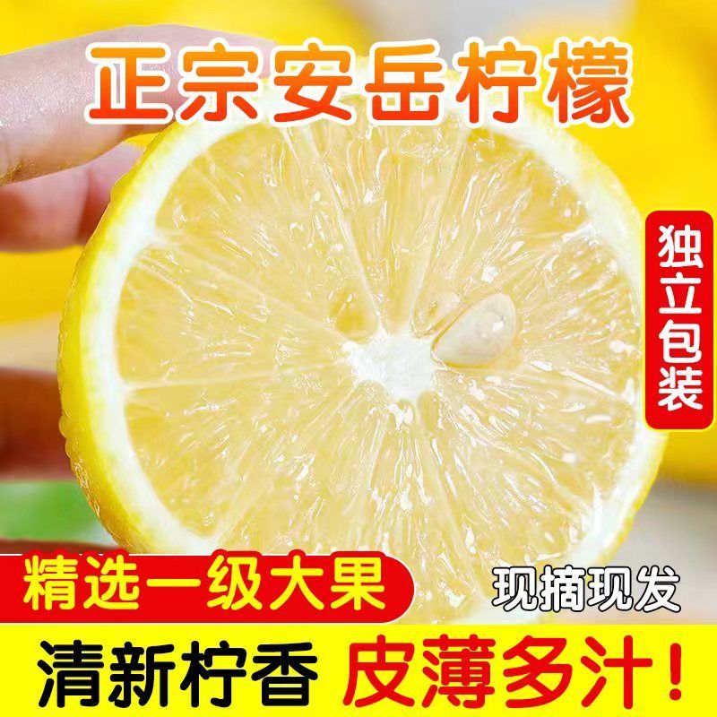 四川安岳黄柠檬皮薄当季新鲜水果精选香水甜青柠檬小金桔整箱包邮
