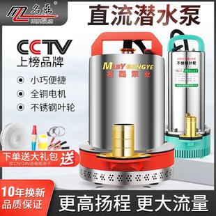 直流潜水泵12V24V48V60V电瓶车电动抽水泵小型灌溉农用家用抽水机