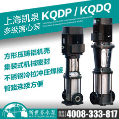 凯泉泵业KQDP/KQDQ25-2S*2 3 4 5 6 7 8 9 10 11 12 13工业输送泵