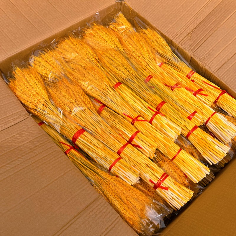 开业大麦黄色精品麦穗干花一箱100把一万支装花店花艺用品