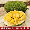 榴莲蜜泰国进口新鲜水果尖蜜拉菠萝蜜3-4斤热带水果香甜迷你包邮|ru 榴莲蜜泰国进口新鲜水果尖蜜拉菠萝蜜3-4斤热带水果香甜迷你包邮|ru