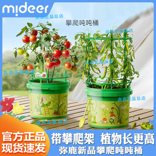 mideer弥鹿攀爬桶儿童植物种植阳光房生长观察盒科学实验玩具礼物