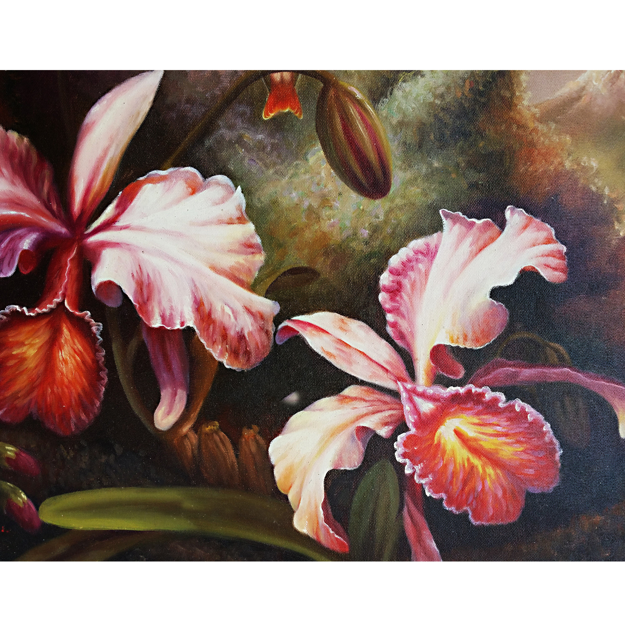 l.kpowell(英国)《蜂鸟》