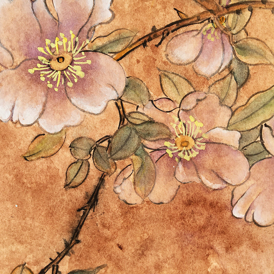 李佐《蝶恋花》水彩画