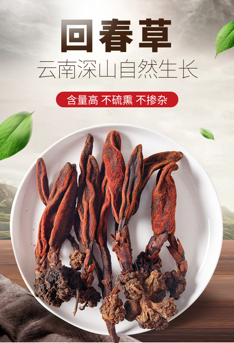 回春草不老草100g正宗云南顶天柱草苁蓉回心草男性泡/酒/料泡水