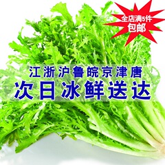 【次日冰鲜送达】苦菊新鲜蔬菜 苦苣苦叶生菜 狗牙菜沙拉菜500g