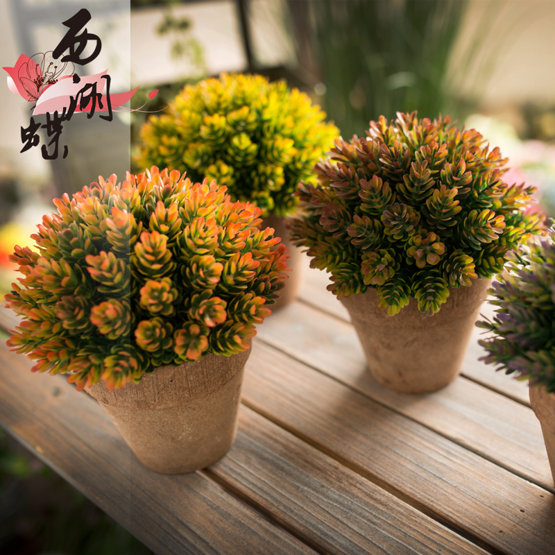 仿真多肉植物小盆景假花盆栽家居客厅室内绿植桌面装饰花套装摆件在类目 家居饰品, 花瓶/花器/仿真花/仿真饰品, 仿真花/假花中 - 来自Buy2taobao.com提供专业的淘宝代购服务