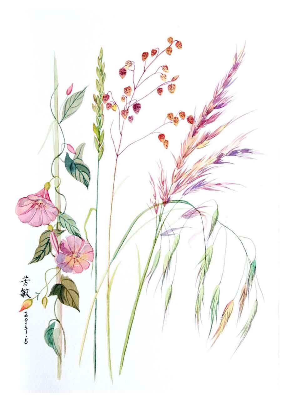 谢芳敏《牵牛花》版画系列