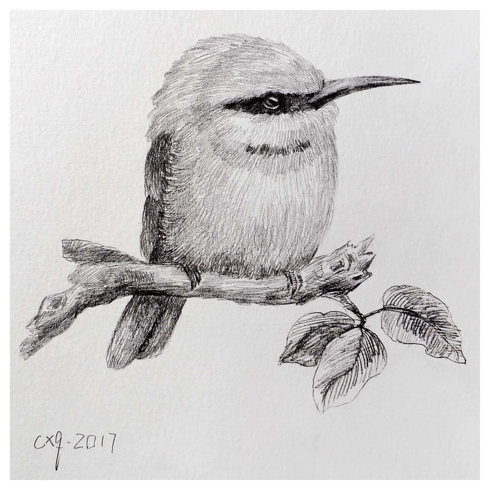 陈晓青《小鸟系列10》水彩