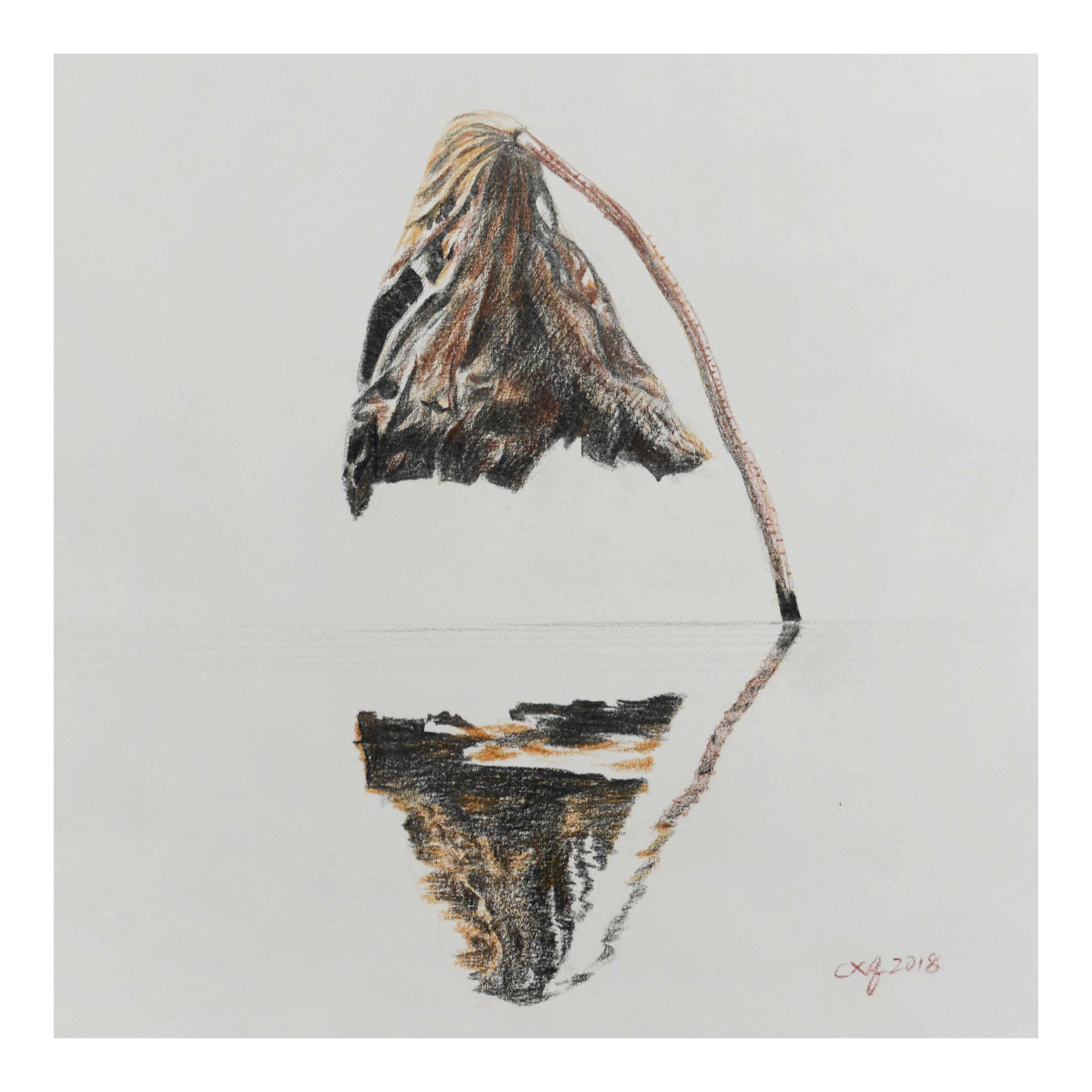 陈晓青《倒影》素描