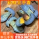 新鲜见手青 云南山珍红葱牛肝菌野生菌云南菌子味道鲜美空运发货