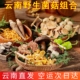 云南野生菌组合新鲜 稀有独特美食农产品菌汤青头菌谷熟菌鸡枞菌