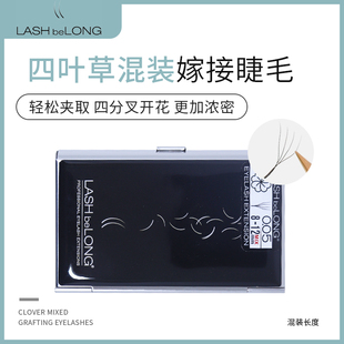 lashbelong四叶草 3D仙朵 手动开花 Y型 V型混装嫁接种植假眼睫毛