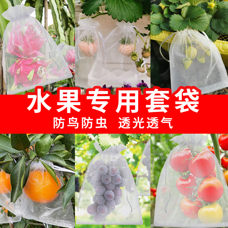 水果套袋草莓防虫防鸟专用网袋葡萄桃