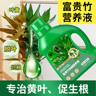 富贵竹营养液防黄叶枯萎促生根液态肥氮钾肥水培植物专用复合花肥