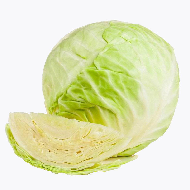 卷心菜有机新鲜蔬菜包菜圆白菜包心菜大头菜洋白菜甘蓝菜5斤包邮