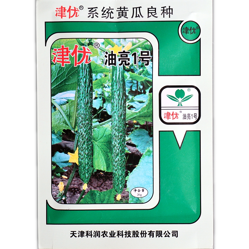 津优系统黄瓜良种驰誉518油亮1号瓜把短绿肉绿皮油亮密刺耐高低温