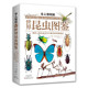 令人惊叹的世界昆虫图鉴 保罗·兹波罗夫斯基 每种昆虫介绍相关鉴定有趣的特征习性和地理分布 河南科学技术出版社 新华正版书籍