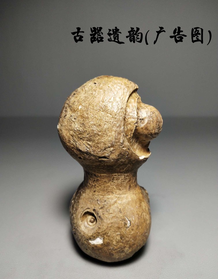 11特价非洲产地原石地表戈壁石古磐石观赏石景观文房奇石桌面摆件
