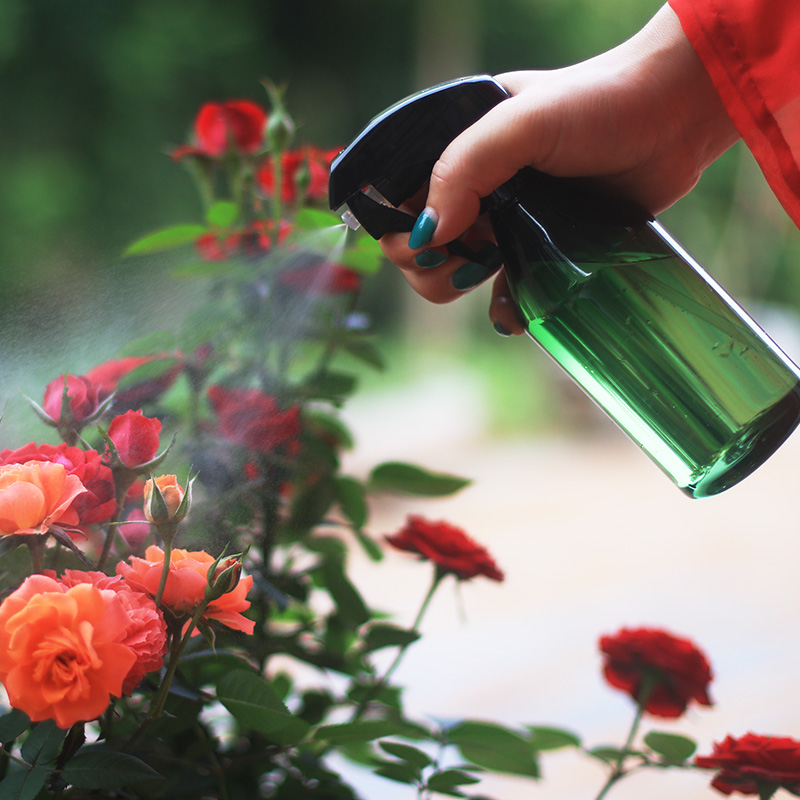 Empty between life|Simplicity Spray bottle Hand pressure Watering Pot gardening tool bonsai Potted plant Green plant Installation artin the Flower delivery/Flowers simulation/Plants gardening , Gardening supplies , Watering/Watering can category - from Buy2taobao.com to provide professional Taobao agent buy service