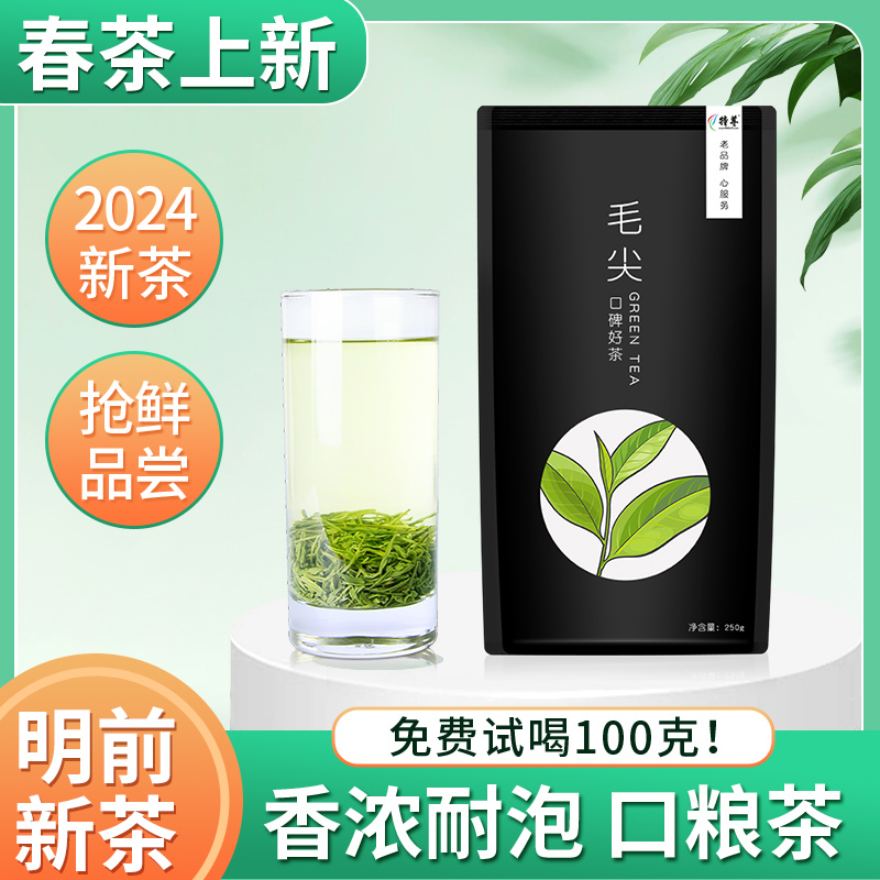 毛尖茶叶2024明前新茶绿茶炒青浓香散装春茶250g自己喝正品特尊茶