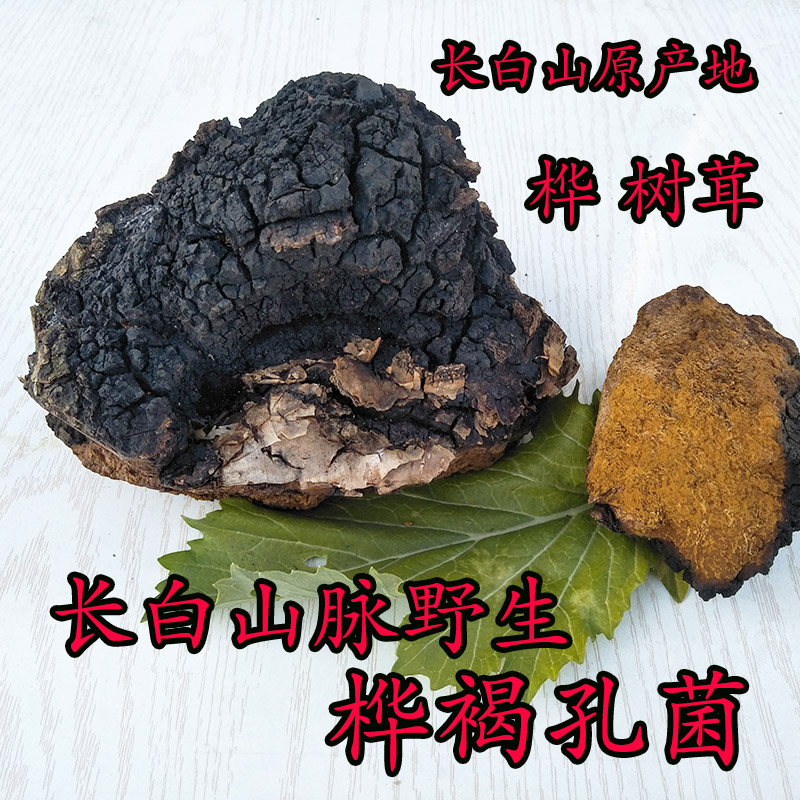 长白山野生桦褐 桦褐层孔菌 桦树茸 桦褐孔菌 桦树菇 500克包邮|ruв категории традиционные питательный пища, ганодерма, подрезка ганодерма - от Buy2taobao.com для оказания профессиональной услуги покупки агента Taobao