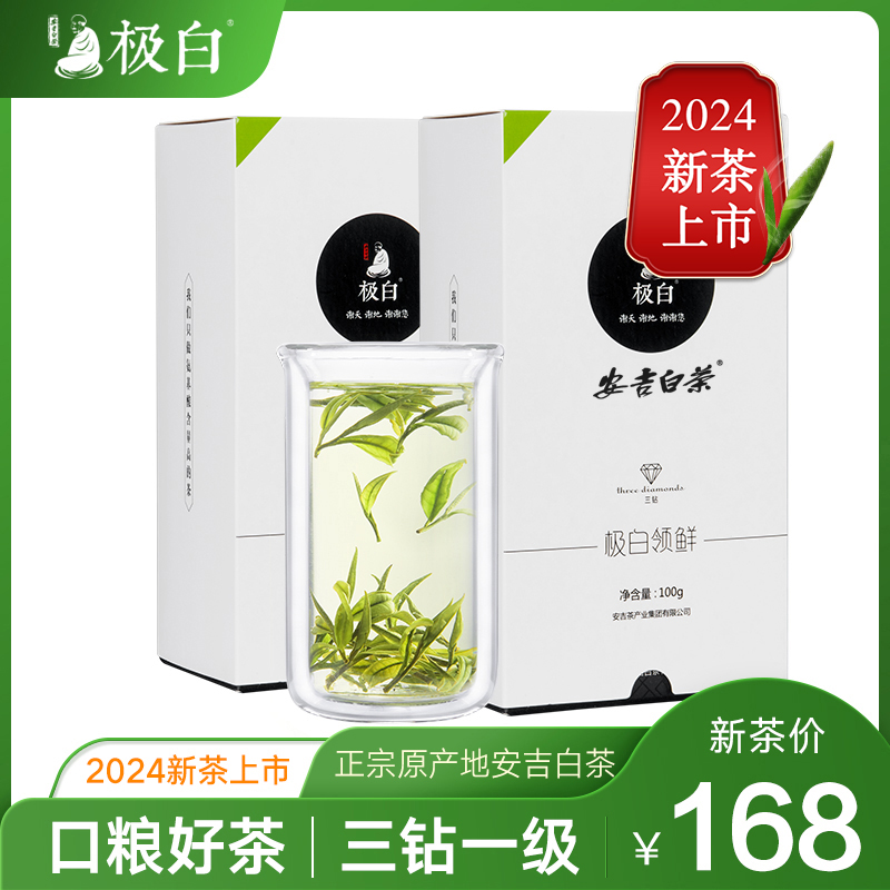 2024新茶绿茶上市极白安吉白茶珍