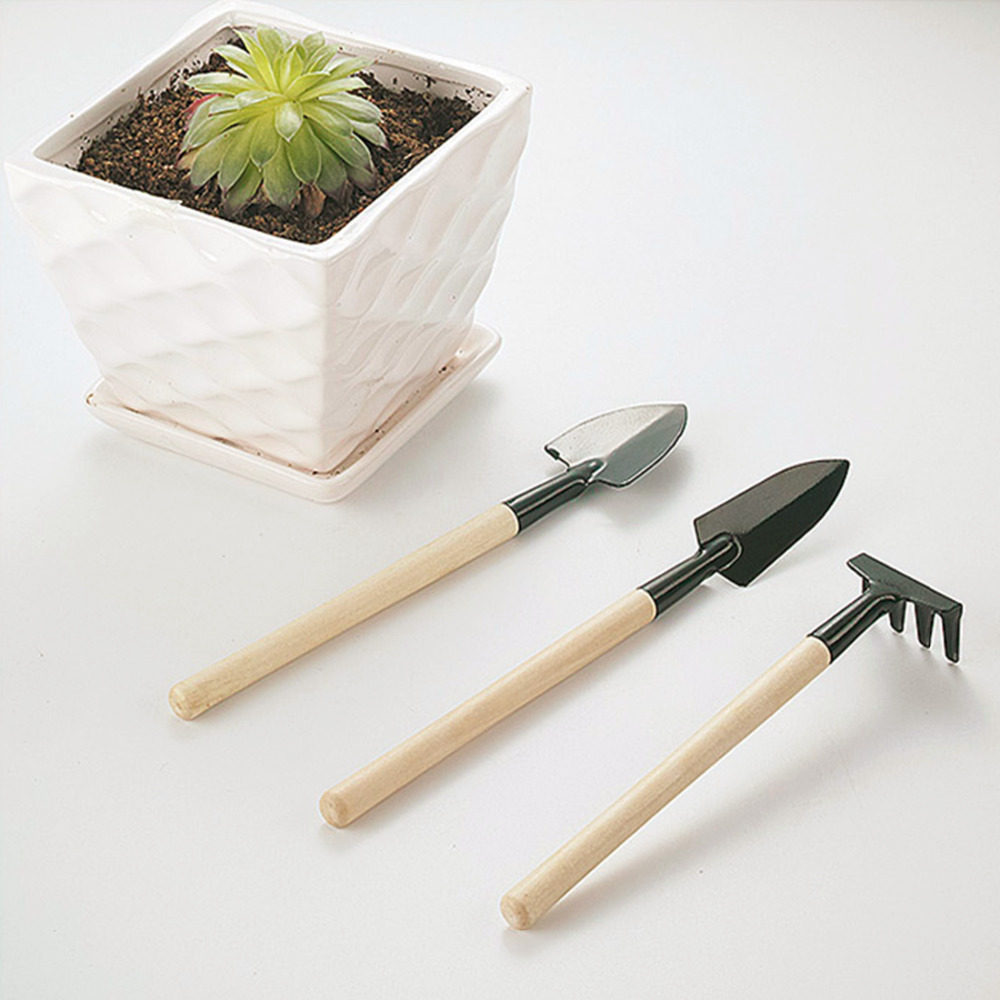 3pcssetwoodenstencilbrushchalkpaintnaturalpurehog