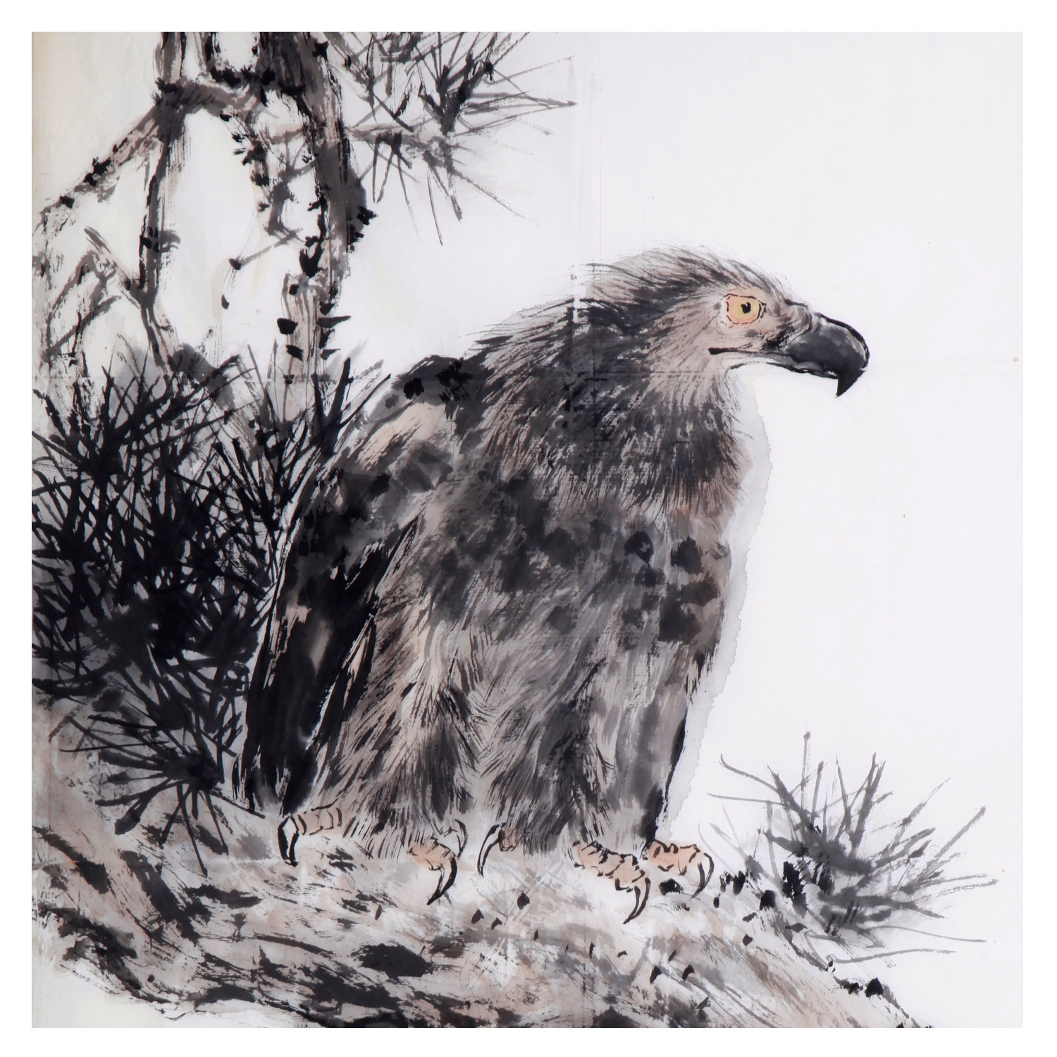 赵少昂《雄鹰图》花鸟画大师