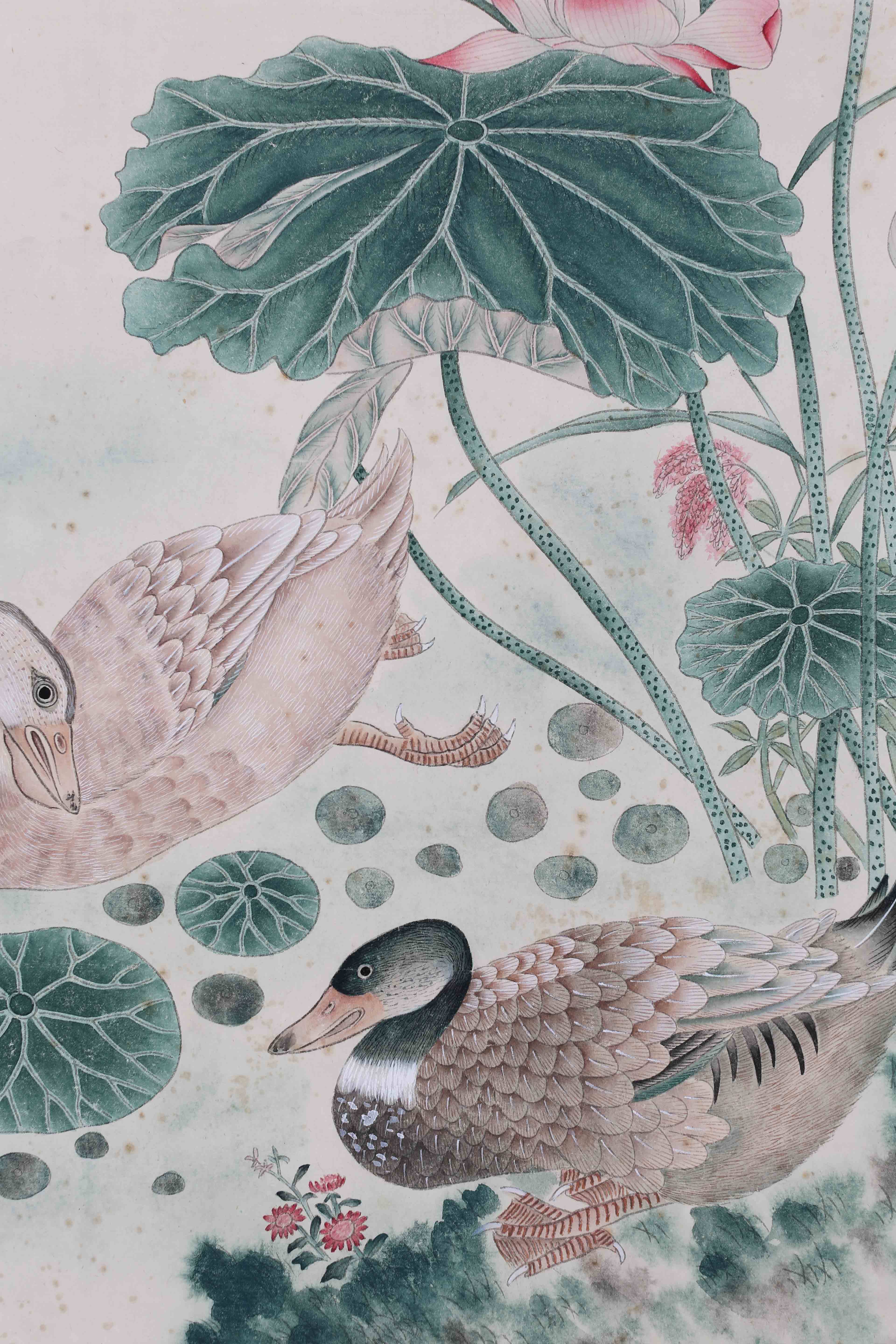 陈之佛 《荷塘鸳鸯》 tb0601