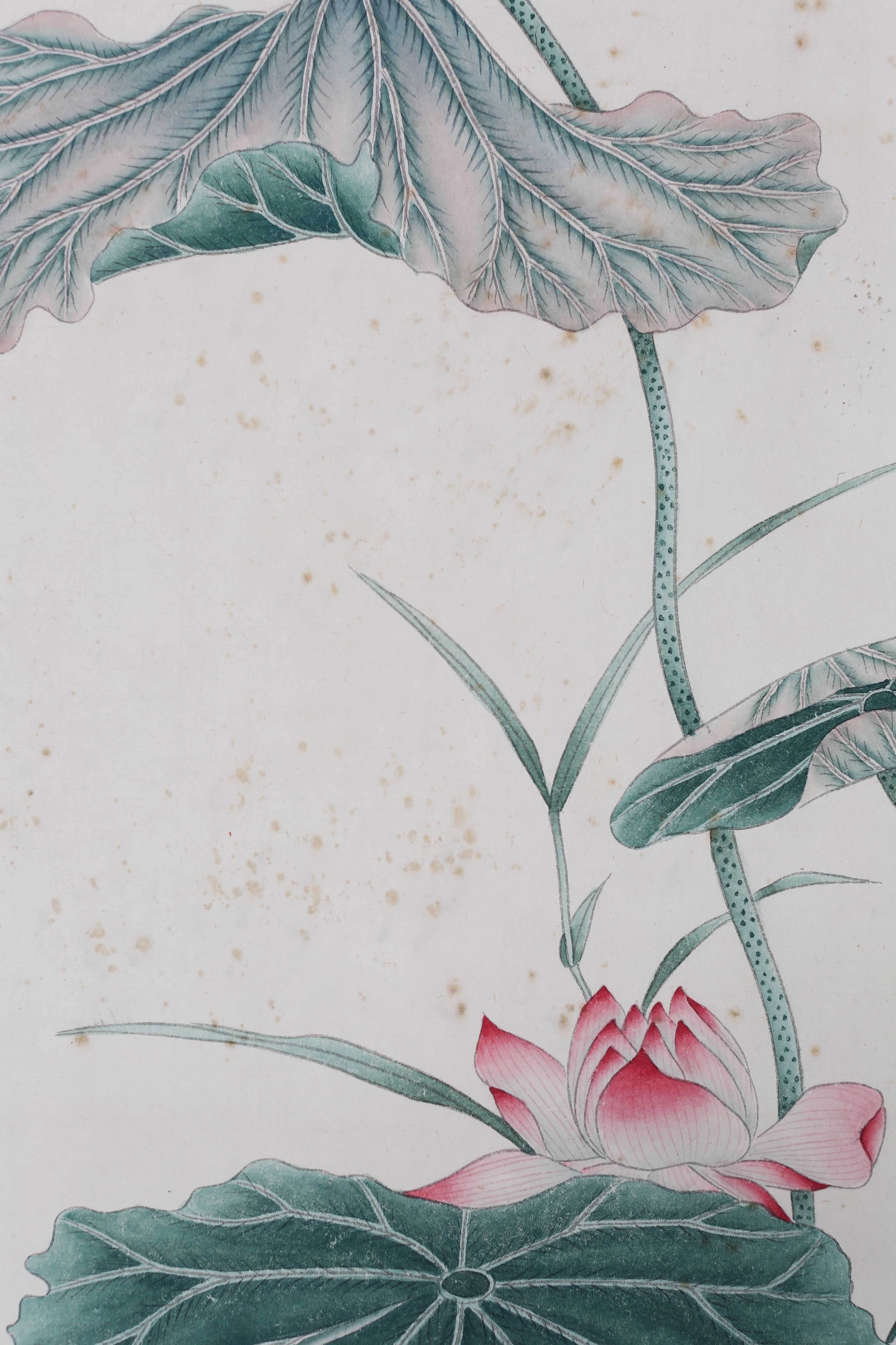 陈之佛 《荷塘鸳鸯》 tb0601