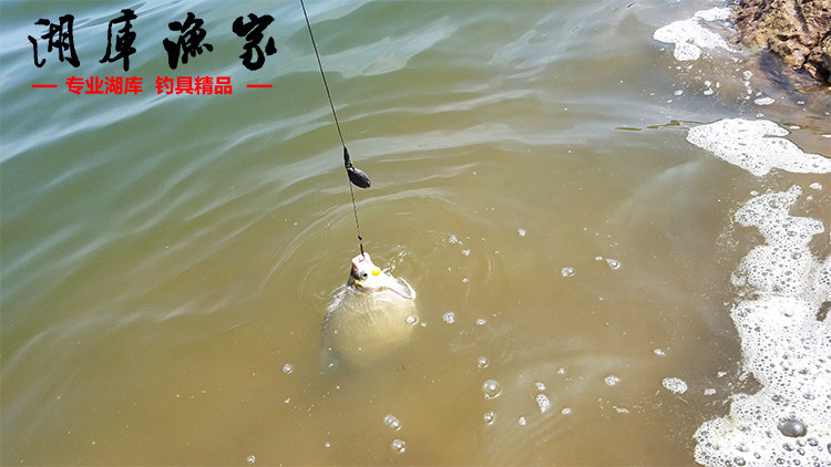 罗尼钓组carp rig欧式钓法海竿远投湖库大力马线套装欧式鲤鱼钓组