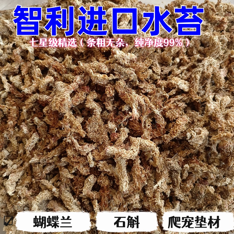 进口智利水苔干苔藓多肉兰花食虫草蝴蝶兰专用土植料基质营养土