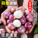 云南紫皮独头蒜2025新鲜大蒜头干蒜5斤农家蔬菜独头蒜批发干皮蒜
