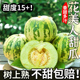 八里香花美人甜瓜花姑娘香瓜新鲜应季时令水果新鲜现摘脆甜蜜瓜