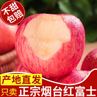 正宗山东烟台红富士苹果新鲜水果应当季整箱栖霞萍果脆甜10丑平果