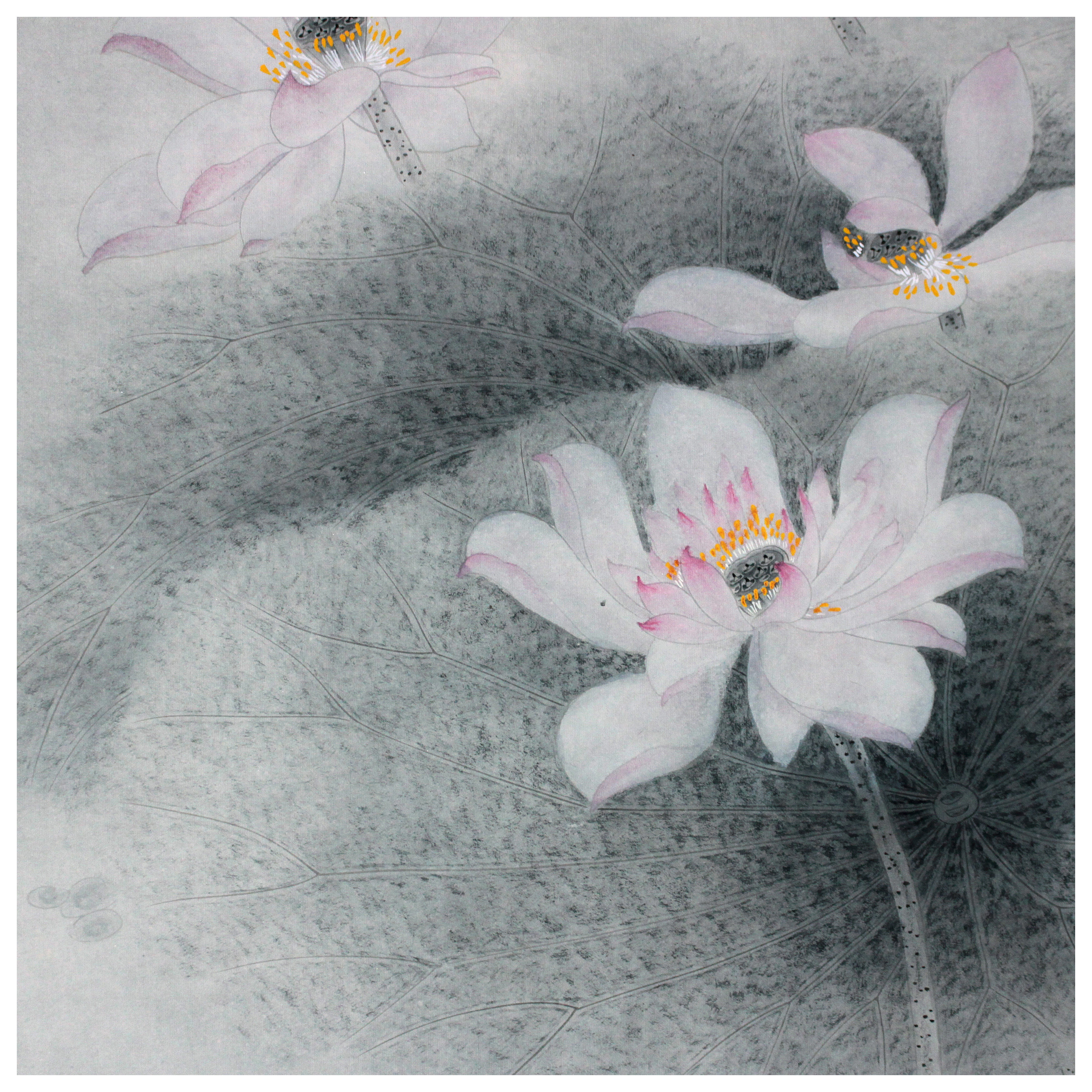 魏伟《荷之韵》工笔重彩画会会员 实力派画家