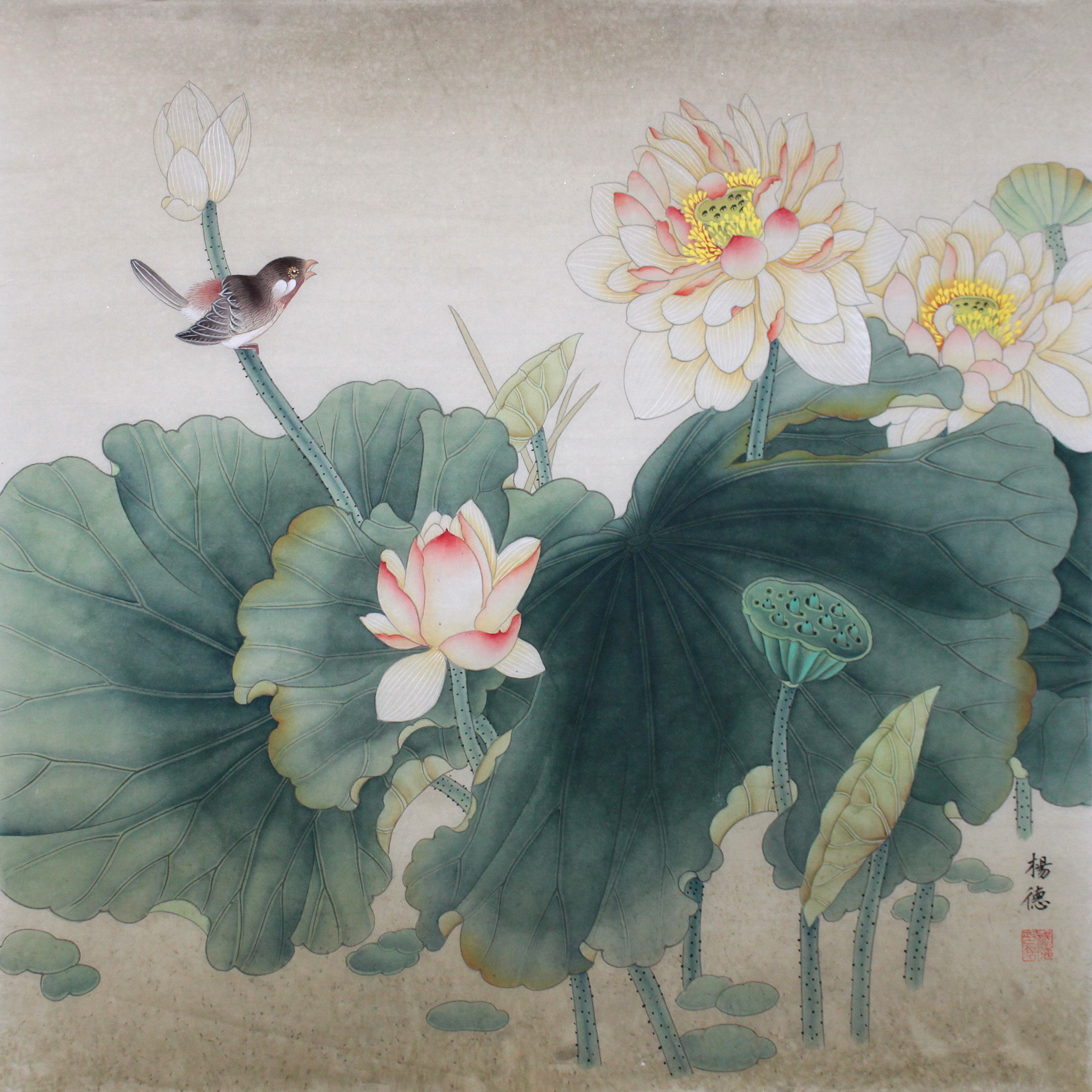 杨德《花香鸟语》工笔重彩画协会会员 实力派画家