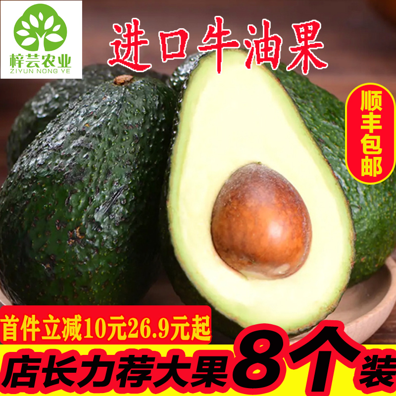 Mexico Imported Avocado 8 fresh Season fruit Avocado Full container wholesalein the Aquatic meat/Fresh fruits and vegetables/Cooked , Fresh fruit , Avocado category - from Buy2taobao.com to provide professional Taobao agent buy service