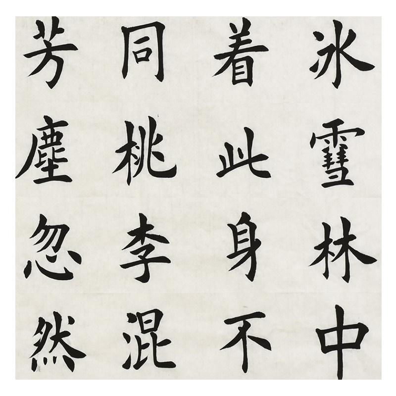 杨代福《白梅》当代实力书法家