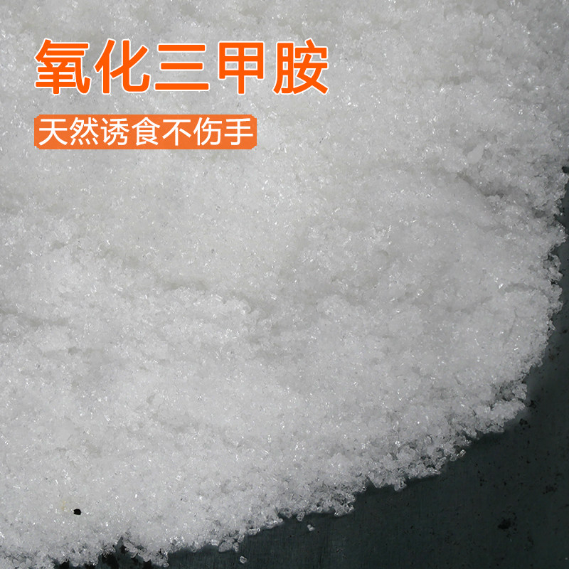 氧化三甲胺tmao垂钓鱼饵钓饵高效诱食剂钓鱼小药鲫鱼鲤鱼野钓黑坑