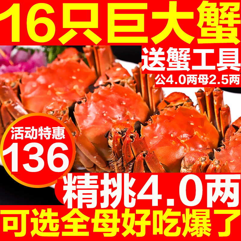 抢16只现货大闸蟹鲜活螃蟹特大全母公蟹阳澄湖镇官方旗舰河蟹礼盒|msdalam kategori daging perikanan/Buah-buahan segar dan sayur-sayuran/dimasak, makanan laut/produk akuatik/produk, ketam, ketam - dari Buy2taobao.com untuk memberikan perkhidmatan ejen Taobao profesional membeli