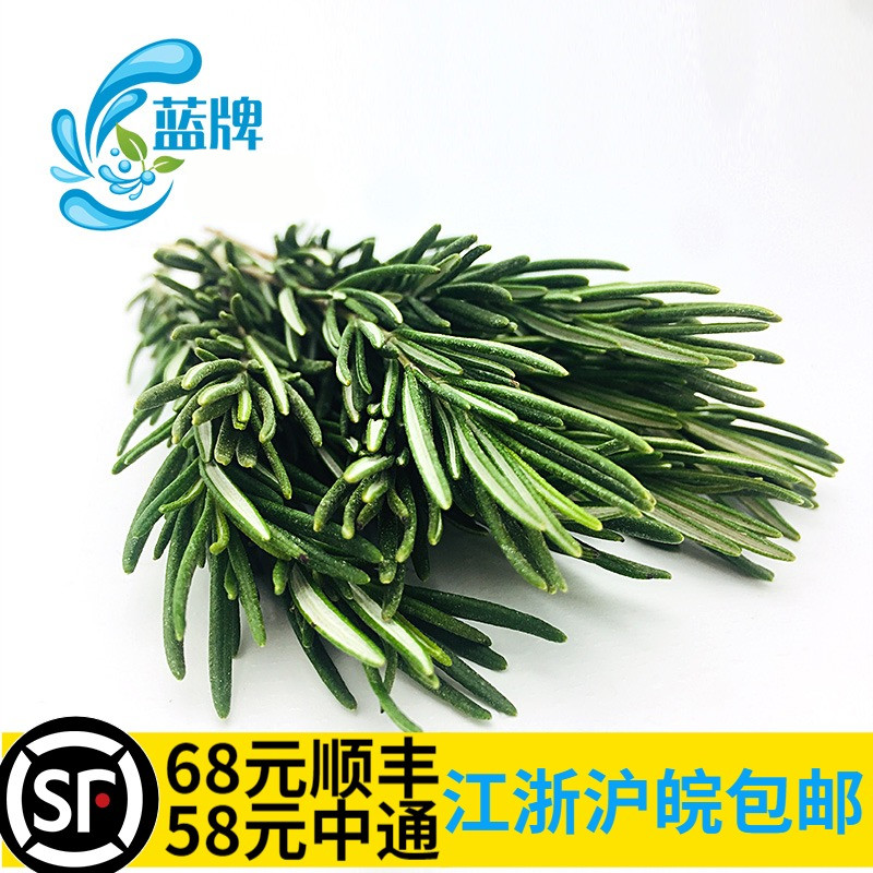 【蓝牌】新鲜迷迭香Rosemary 新鲜蔬菜 新鲜香料 100克 非百里香