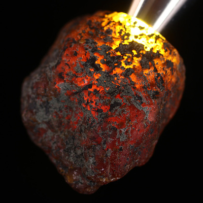 5483g缅甸琥珀金珀原石hp3007中缅胞波节